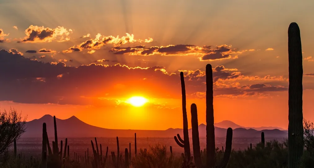 Golf Rentals in Tucson on demand